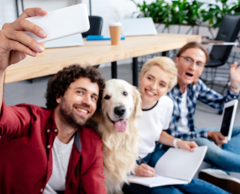 Pets in the Workplace Make Employees Happier and More Productive