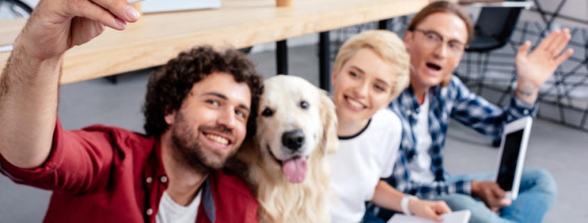 Pets in the Workplace Make Employees Happier and More Productive